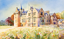 Click for larger image & more details